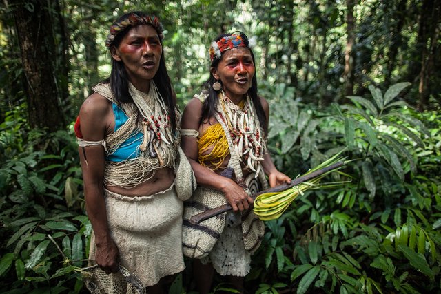 Pueblos indígenas de la Amazonía ecuatoriana