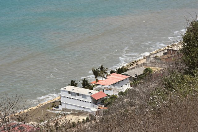 Costa ecuatoriana con agua cristalina y vegetación litoral