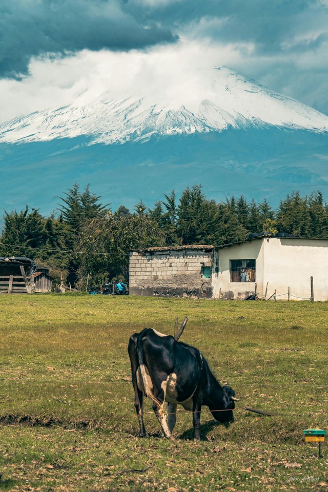 Agricultura tradicional en los Andes ecuatorianos