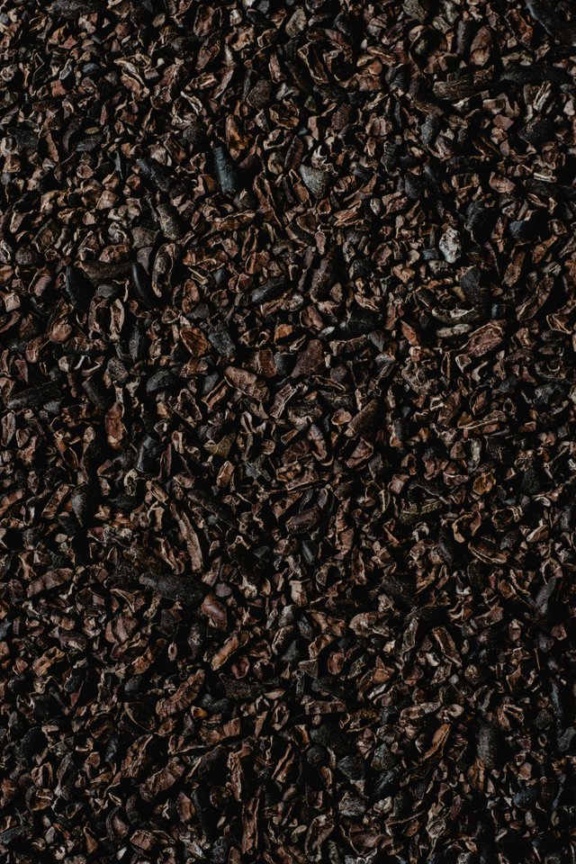 Semillas de cacao ecuatoriano