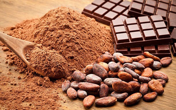 Cacao y chocolate: la riqueza agrícola de Ecuador