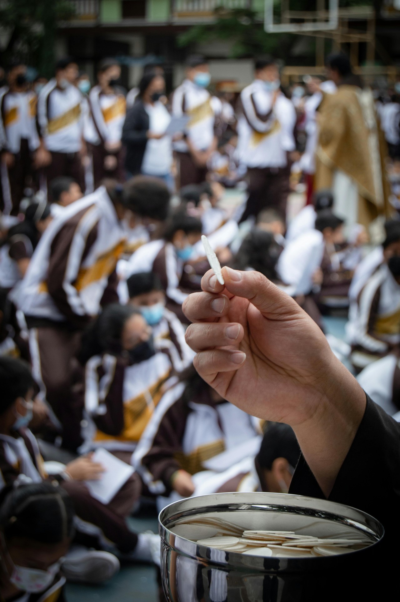 Estudiantes en actividad educativa al aire libre