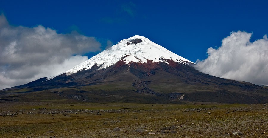 Volcán Cotopaxi con nieve bajo cielo azul