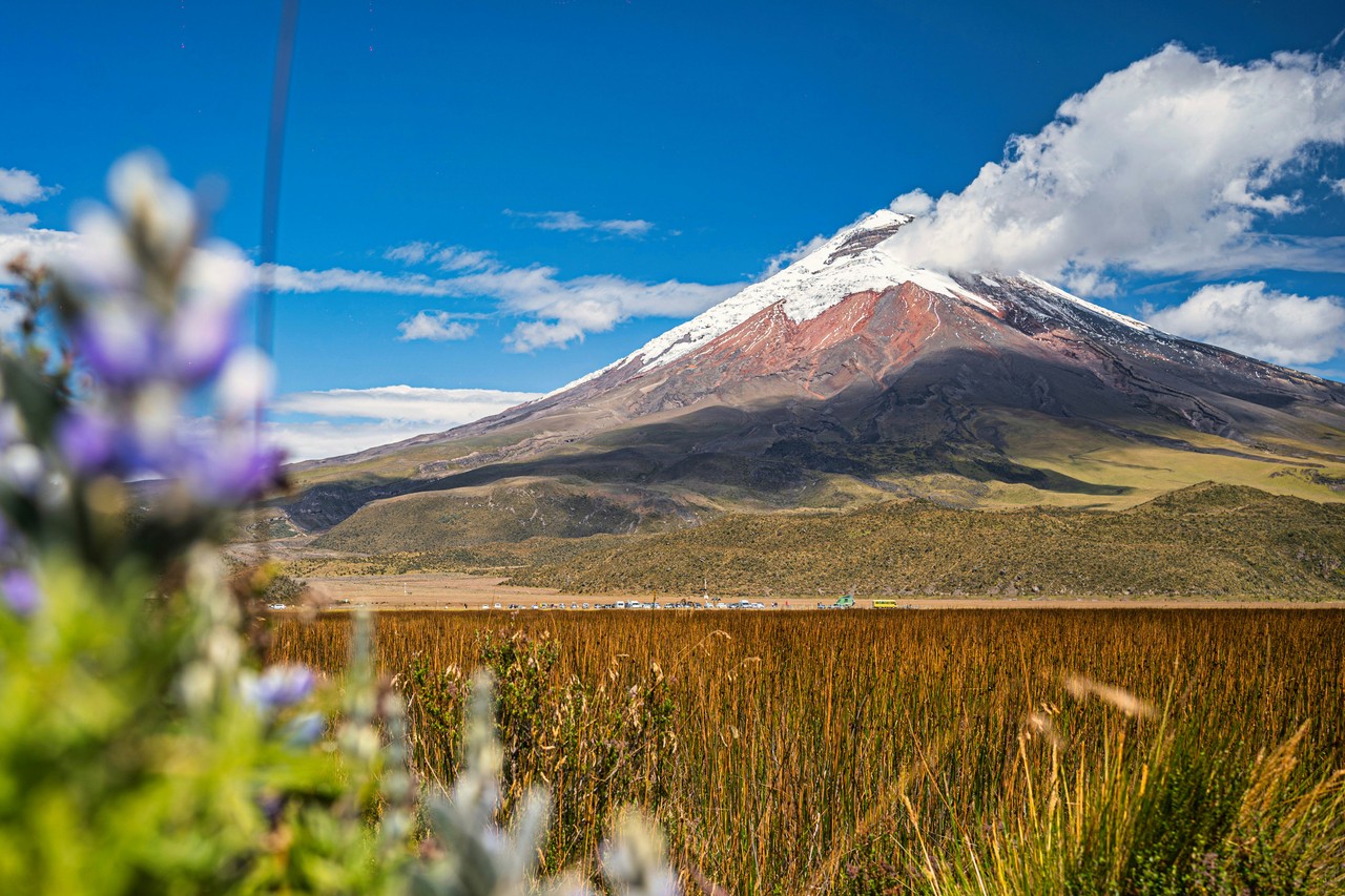 Volcán nevado de los Andes ecuatorianos con flora alpina