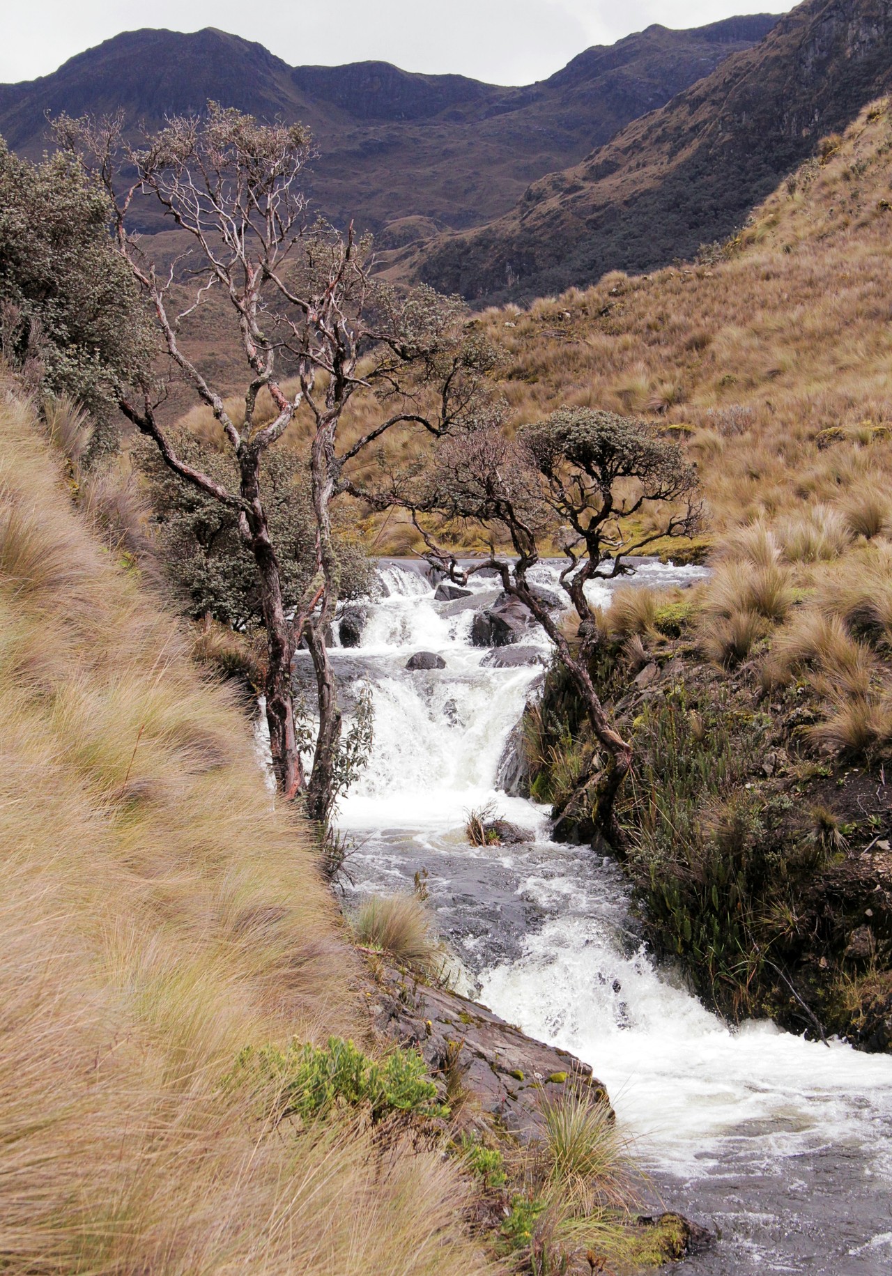 Cascada en Baños de Agua Santa, Ecuador