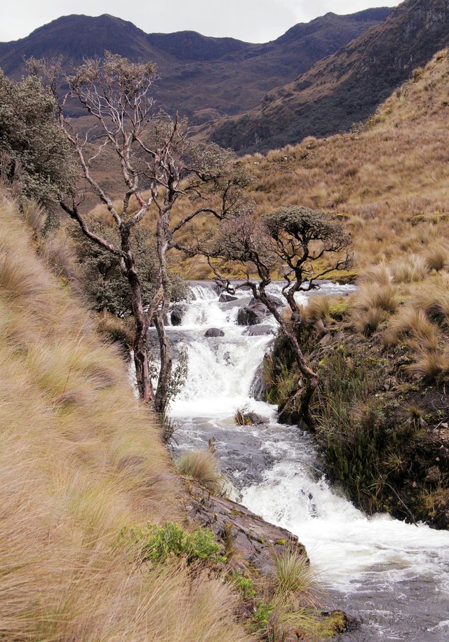 Cascada en Baños de Agua Santa, Ecuador