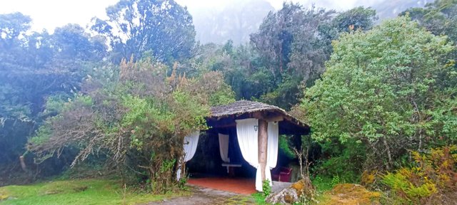 Vivienda rural en la sierra ecuatoriana rodeada de bosque nativo