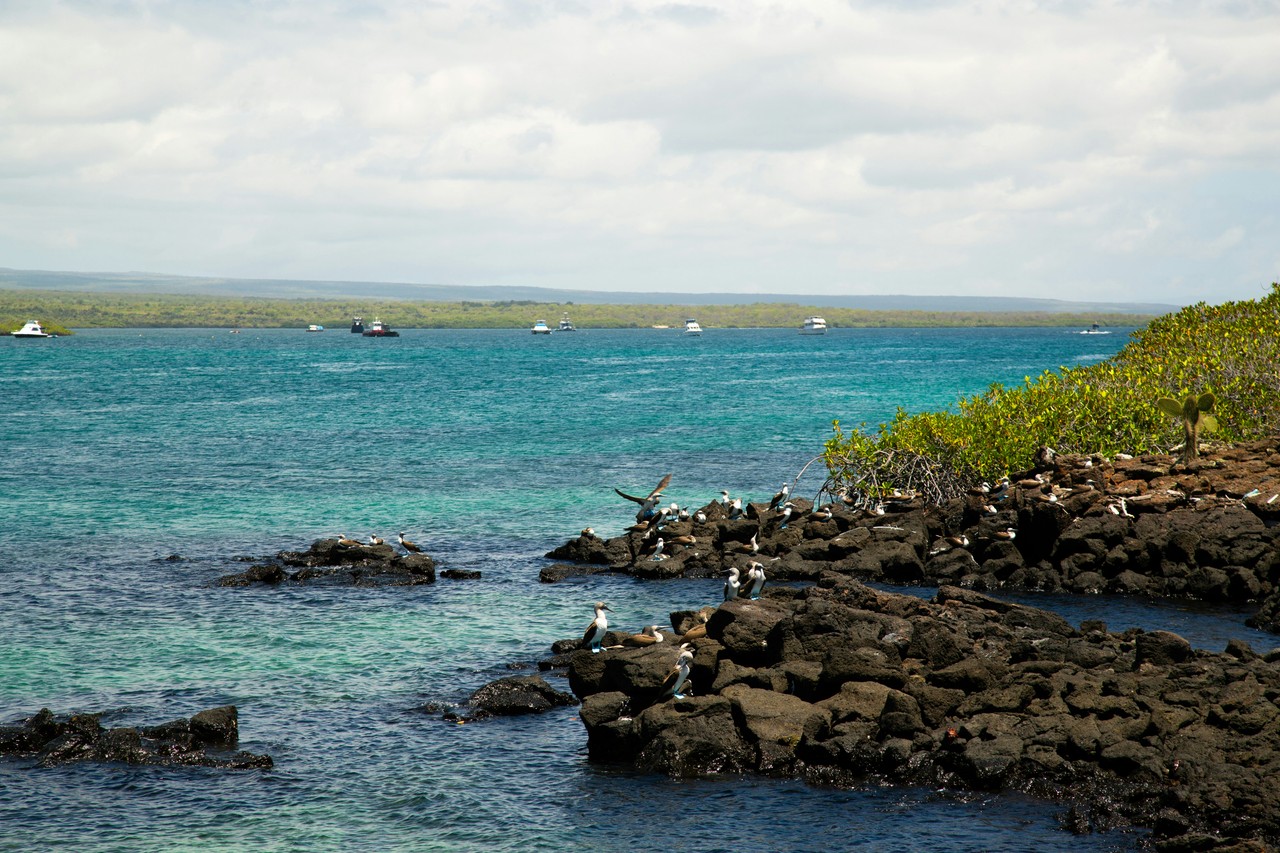 Costa rocosa de Galápagos con vista al océano