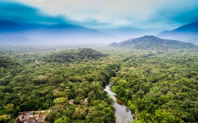 Río sinuoso atravesando la selva amazónica ecuatoriana