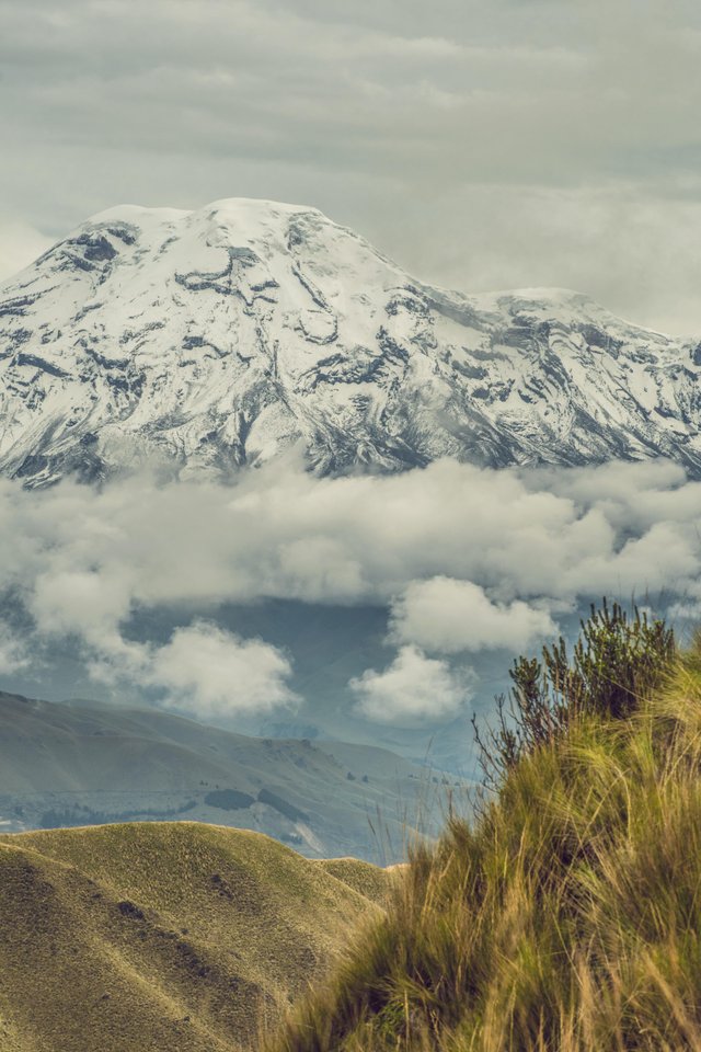 Volcán Chimborazo con nevados y bosques andinos