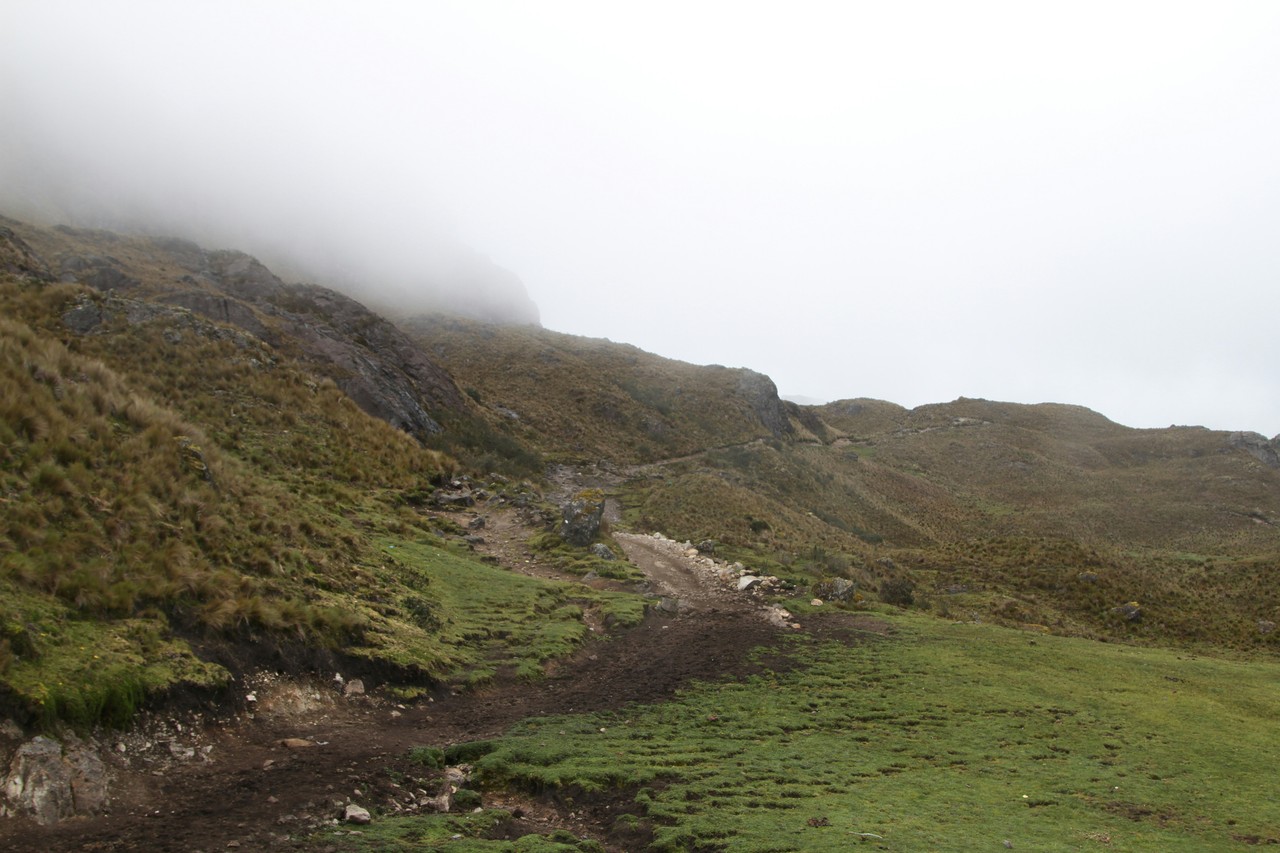 Paisaje de los Andes ecuatorianos con niebla y vegetación verde