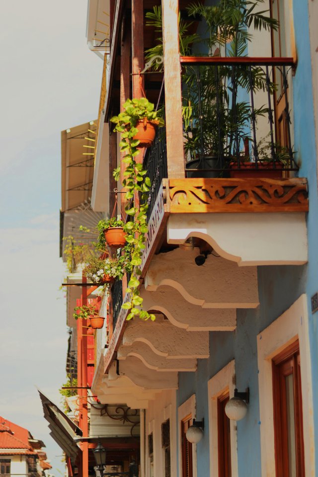 Arquitectura colonial con plantas ornamentales en Guayaquil