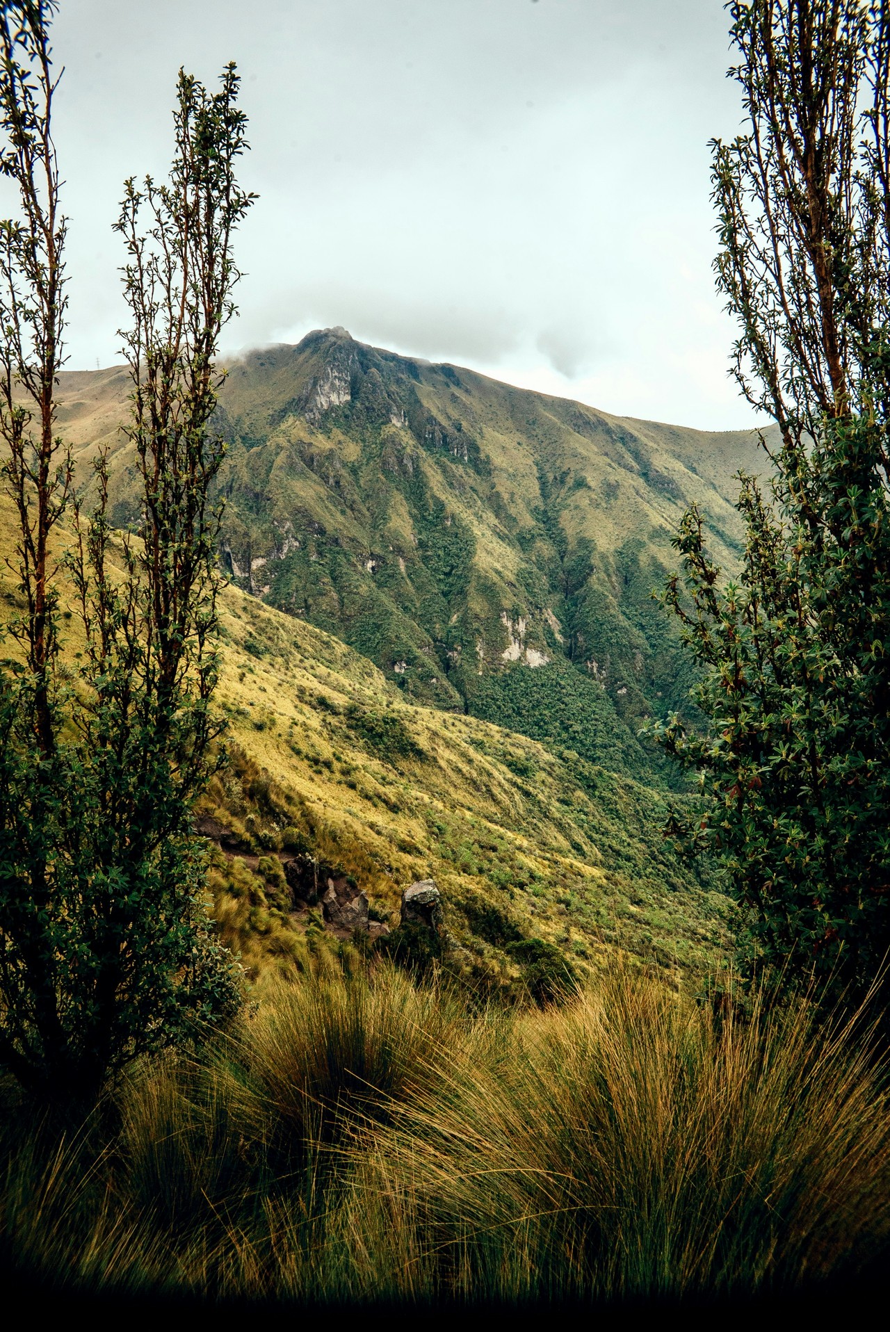 Volcán desde el páramo ecuatoriano