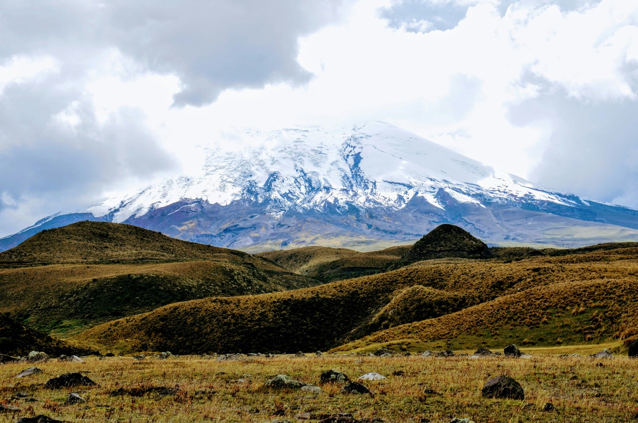 Volcán Cotopaxi con nieve perpetua visto desde los páramos ecuatorianos