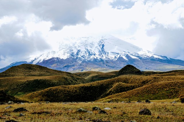 Volcán Cotopaxi con nieve perpetua visto desde los páramos ecuatorianos