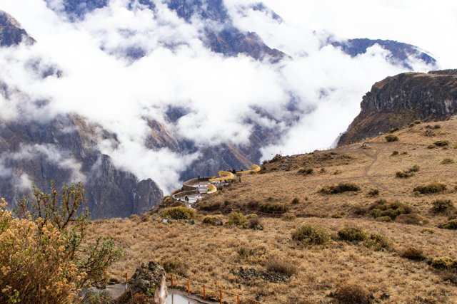 Paisaje de los Andes ecuatorianos con vegetación nativa