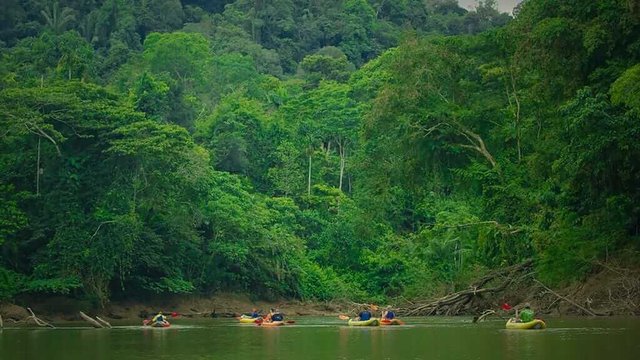 Kayakistas en el río Amazonía rodeados de selva tropical ecuatoriana