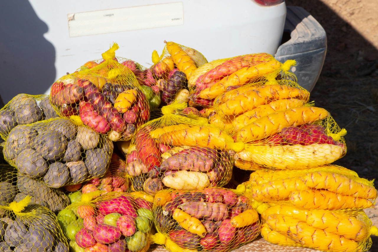 Piñas y maíz tradicional ecuatoriano en mercado local
