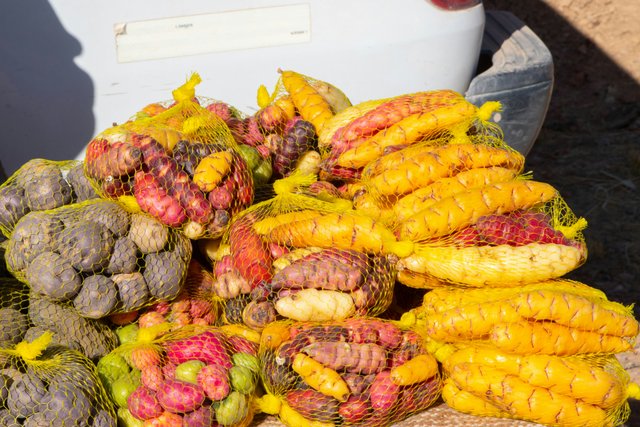Piñas y maíz tradicional ecuatoriano en mercado local