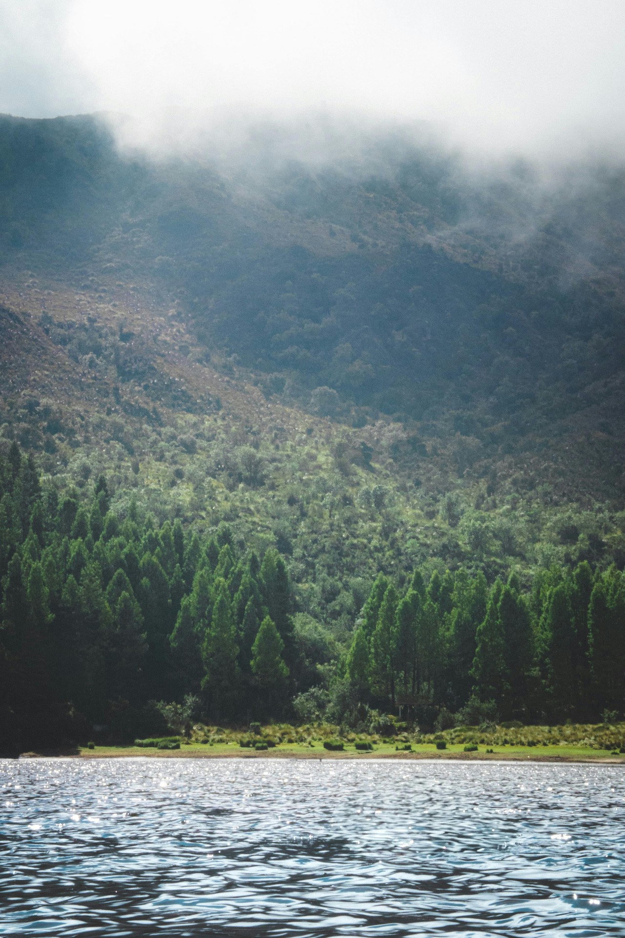 Bosque y montañas de los Andes en Cañar, Ecuador